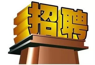 長春軟件開發(fā)行業(yè)迎來新機遇，科技創(chuàng)新助力城市數(shù)字化轉型